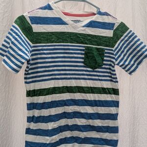 Arizona Jean Company Kids Striped Blue and Green T-Shirt
